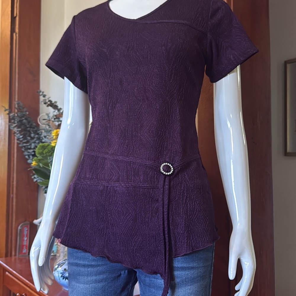 NWT northern reflections size small Elegant Purple Women's Top.  Like New.